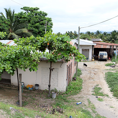 Sitio La Sequita - Via a Crucita